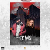 Te Vas (feat. RealBoysh) artwork