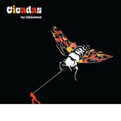 Mildenhall - Cicadas