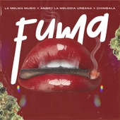 FUMA artwork