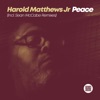 Peace (Incl. Sean Mccabe Remixes)