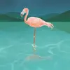 Flamingo Lofi album lyrics, reviews, download
