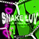 Snake LUV artwork