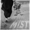 Mist - Single