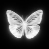 Mariposa - Single, 2023