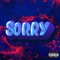 Sorry (feat. Dee Gomes) - Lito the Guy lyrics