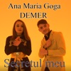 Secretul meu (feat. Demer) - Single