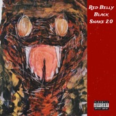 Red Belly Black Snake 2.0 - Single
