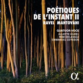 Ma mère l'Oye, M. 77 (Transcription for Septet by Emmanuel Ceysson): I. Pavane de la Belle au bois dormant artwork