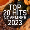 Top 20 Hits November 2023 (Instrumental)