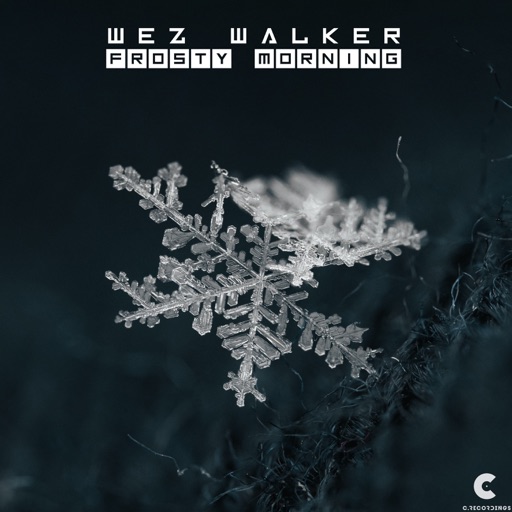 Frosty Morning - Single by Wez Walker