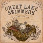 Great Lake Swimmers - I Must Have Someone Else's Blues
