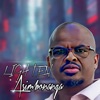 Asimbonanga - Single