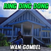 Ring Ding Dong (feat. Wan Venox & Irwan Alviero) artwork