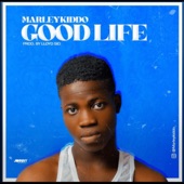 Good Life artwork