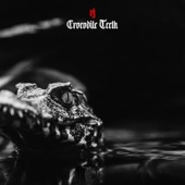 Crocodile Teeth artwork