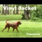 Ah Haa Candy - Vinyl Jacket lyrics