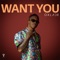 Want You - Oxlade lyrics