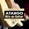 Hits on Guitar Instrumental Vol. 4