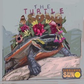 The Turtle Song artwork