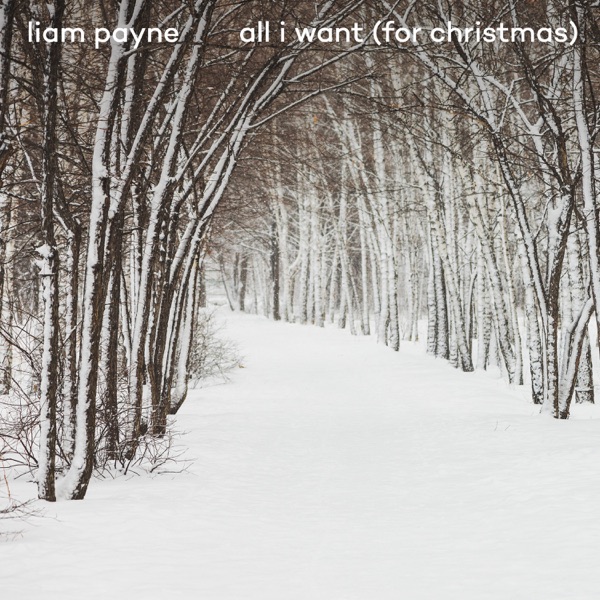 All I Want (For Christmas) - Single - Liam Payne