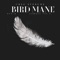 Bird Mane (feat. Jay. P & K-DUN) - DJ CBee SUPREME lyrics