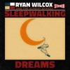 Sleepwalking Dreams