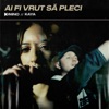 Ai fi vrut să pleci - Single