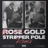 Rose Gold Stripper Pole (feat. 2 Chainz) artwork