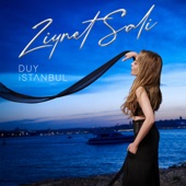 Duy İstanbul artwork