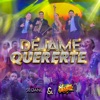 Déjame Quererte - Single