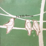 Joy Kills Sorrow - My Jury's Still out on You