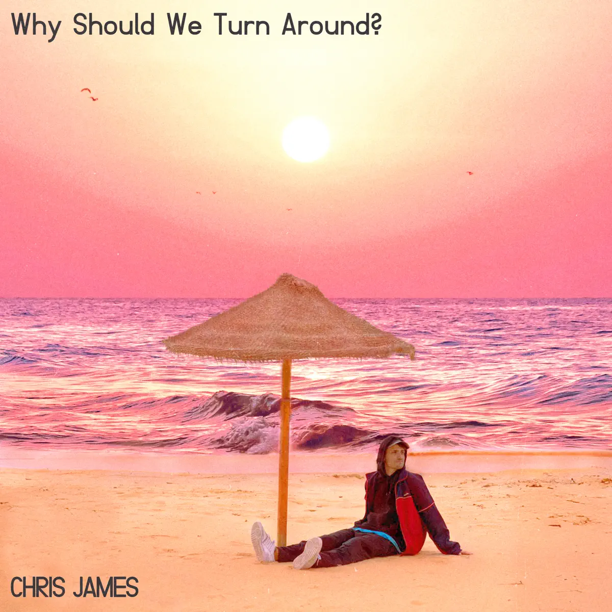 Chris James – Why Should We Turn Around? – EP (2023) [iTunes Plus AAC M4A]-新房子
