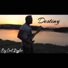 Destiny - Single