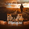 Respeita o Agro do Brasil - Single