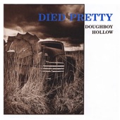 D.C. by Died Pretty