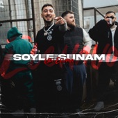 Uzi Söyle Sunam (Mix) artwork