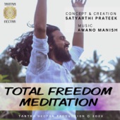 Total Freedom Meditation artwork
