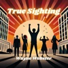 True Sighting - Single