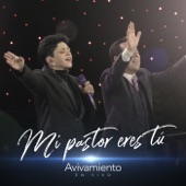 Mi Pastor Eres Tú (En Vivo) artwork