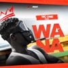 Wana - Single