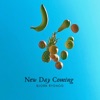 New Day Coming - Single