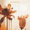Circular Ruins - POSTDATA lyrics