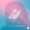 Joy In the Mourning - Single