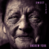 Sweet Life - Andrew York