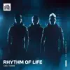 Rhythm of Life (feat. TAC Team) - Single album lyrics, reviews, download
