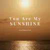 You Are My Sunshine - Single album lyrics, reviews, download