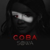 Сова - Single