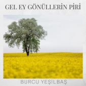 Gel Ey Gönüllerin Piri artwork