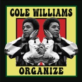 Cole Williams - Organize - Humanity Mix