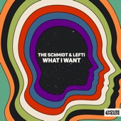 What I Want (Extended Mix) artwork
